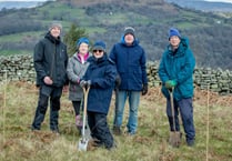 U3A plant 10,000 trees to mark charity’s 40th anniversary