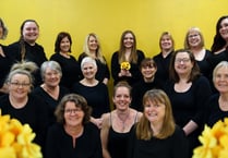 Sunshine Singers looking for new members