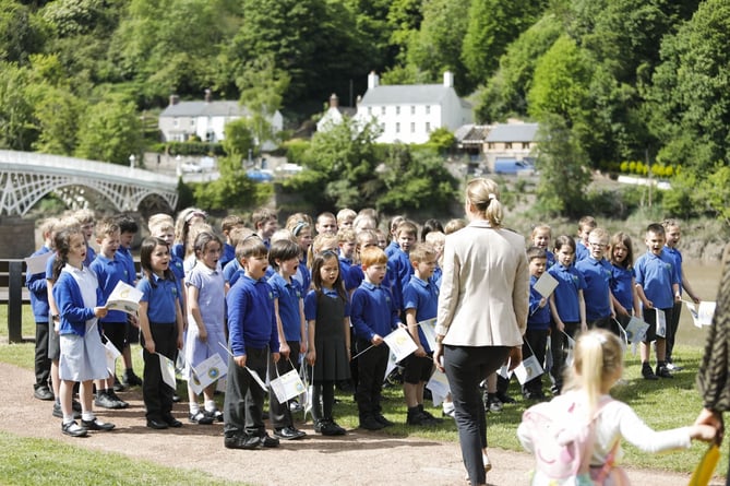 Dell Primary