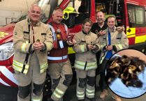 Ducklings saved in quacking Brecon rescue