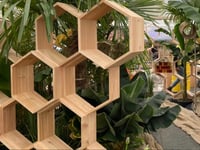 Bee charity wins silver medal at Chelsea Flower Show