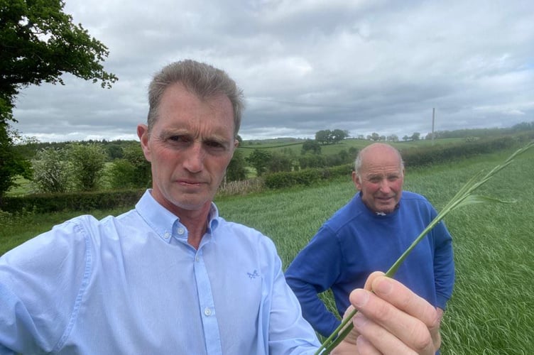 NFU Cymru