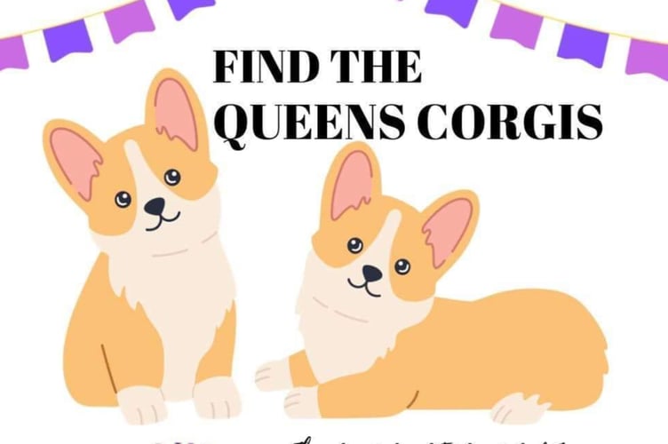 Queens corgi comp