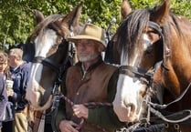 Farmer and his Shire horses embark on epic fundraiser