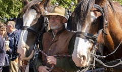 Farmer and his Shire horses embark on epic fundraiser