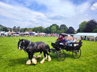 Four legged movie stars to perform in Abergavenny