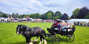 Four legged movie stars to perform in Abergavenny