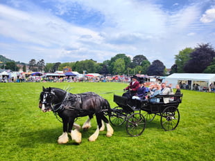 Four legged movie stars to perform in Abergavenny