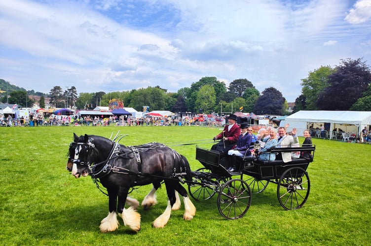 Steam Rally