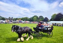 Four legged stars of stage and screen to perform at this year's Steam Rally
