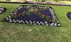 Jubilee flowerbed blooms into full colour in park