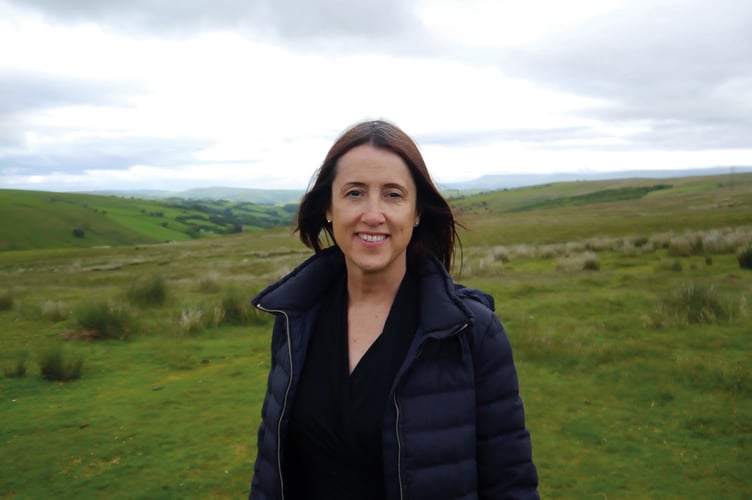 Jane Dodd Welsh Liberal Democrat leader