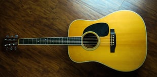 Monthly music nights with the Folk, Blues and Country music club
