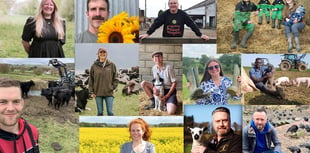 Social media campaign used to showcase best British produce