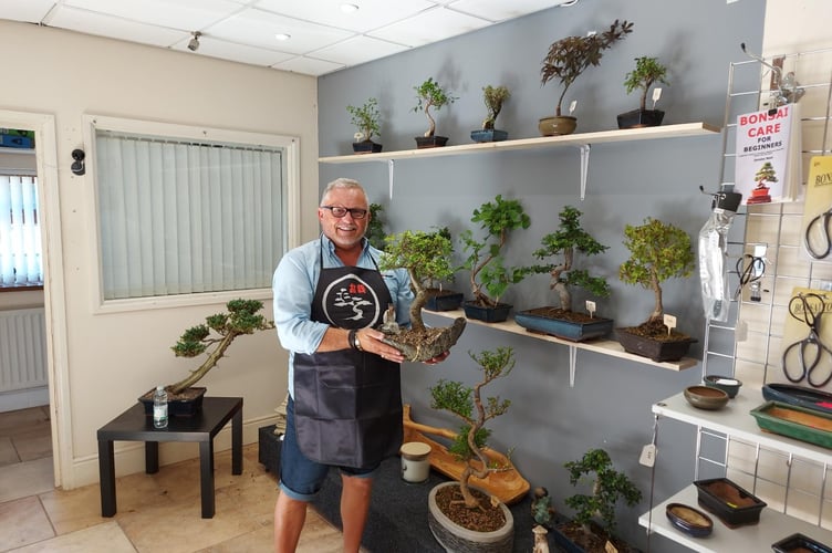 Bonsai