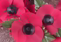 Poppy Appeal volunteers needed