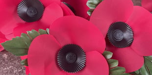 Poppy Appeal volunteers needed