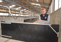 Support gives farmer the confidence to diversify