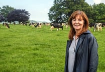 First Welsh Agriculture Bill to support farmers into the future