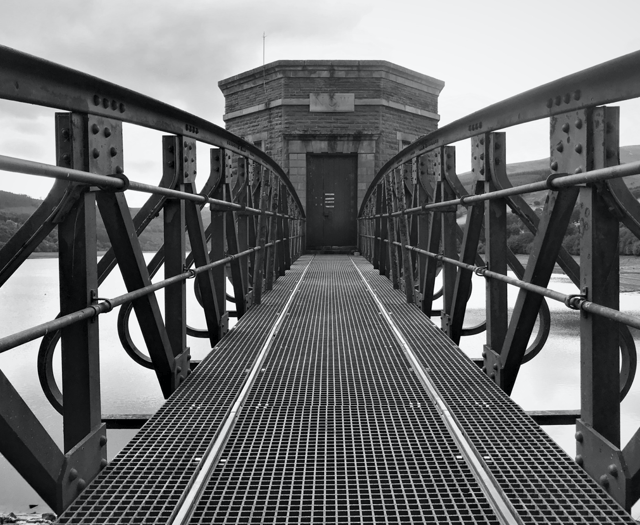 Picture This: Leading Lines!