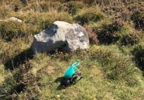 Visitors disgusted by beauty spot dog waste