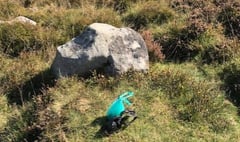 Visitors disgusted by beauty spot dog waste