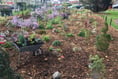 New garden area at Bailey Park