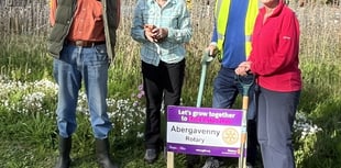 Turning Abergavenny purple