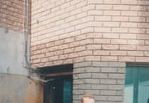 Remembrance Parades across the area and how the Royal British Legion helped one of the Chronicle team