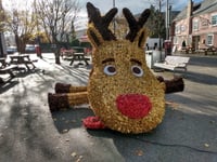 Nevill Street reindeer falls foul of vandals