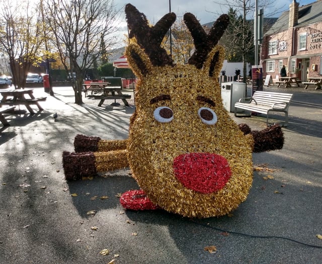 Nevill Street reindeer falls foul of vandals
