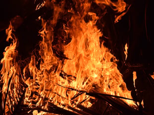 Cost of farm fires in South West totals £10.4 million
