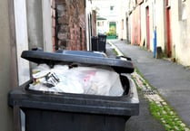Bin collections for Powys move on a day during Christmas week