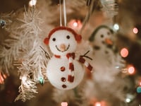 Kindhearted  couple save Christmas for actor