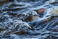 Stay safe near water urges fire service following spate of incidents