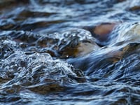 Stay safe near water urges fire service following spate of incidents