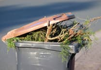 Cost of MCC's green waste collection to increase to £50 per bin