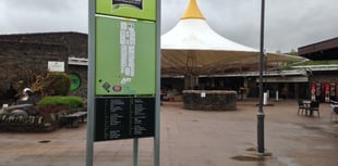 'Much needed' redevelopment of Garden Festival site welcomed