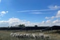Welsh Ministers give green light for Penpergwm Solar Farm