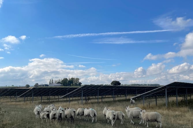Solar farm