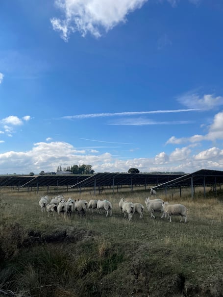 Solar farm