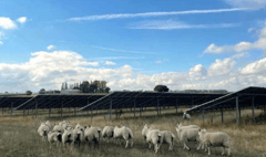 Welsh Government gives greenlight for solar farm