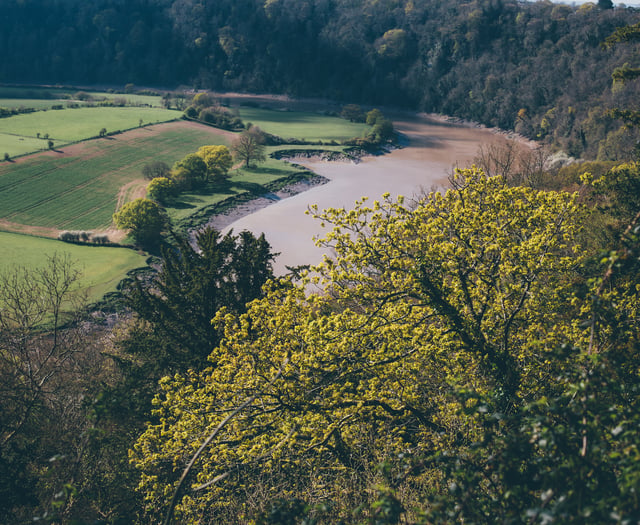 Campaigner Angela Jones to give evidence to MPs on state of rivers
