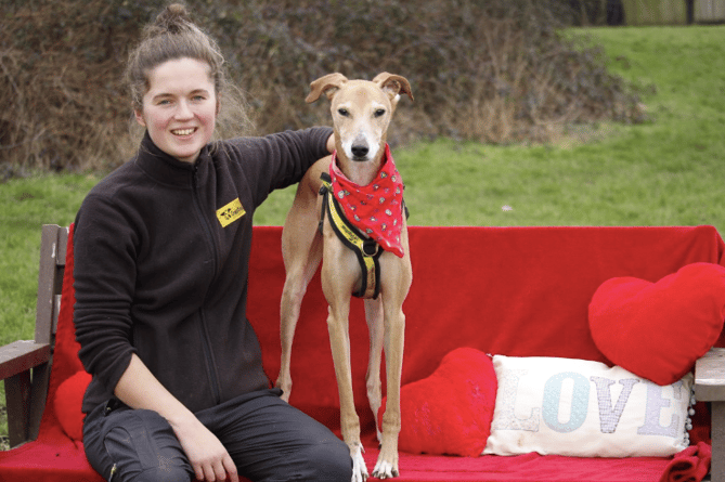 Conker, Dogs Trust