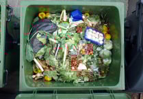Bin collections could be reduced to just one pickup a month