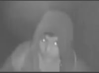 Do you know this man? Police issue appeal after 'mindless' damage