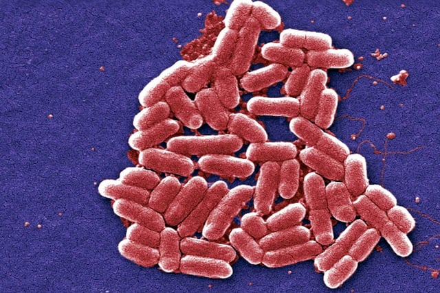 Food poisoning outbreak hits Abergavenny