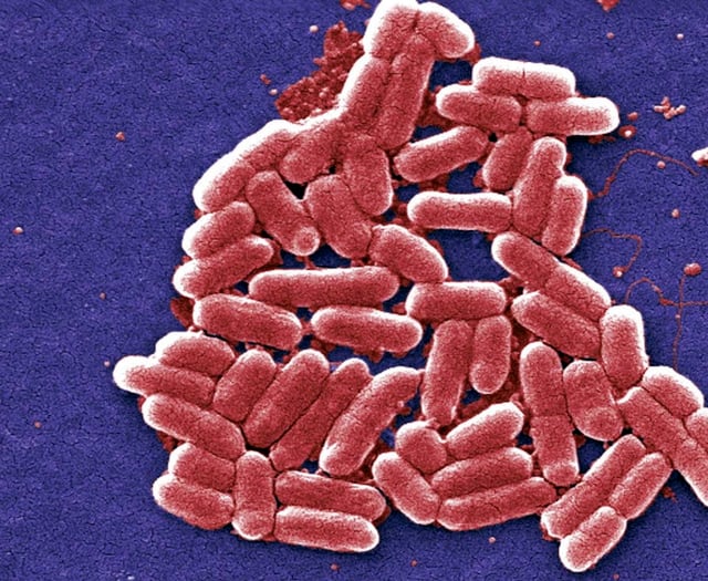 Food poisoning outbreak hits Abergavenny