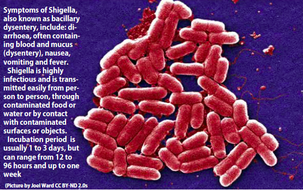 Single fast food outlet associated with Aber's food poisoning outbreak