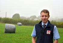 Proposed licensing scheme needs to work for farmers of Wales in the long term, says FUW